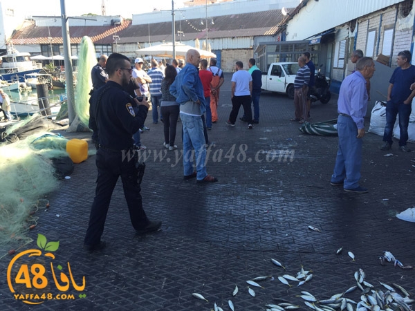 mina2 yaffaj3 (11).jpg